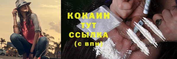 ПСИЛОЦИБИНОВЫЕ ГРИБЫ Богданович