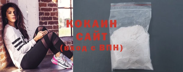 индика Богородск