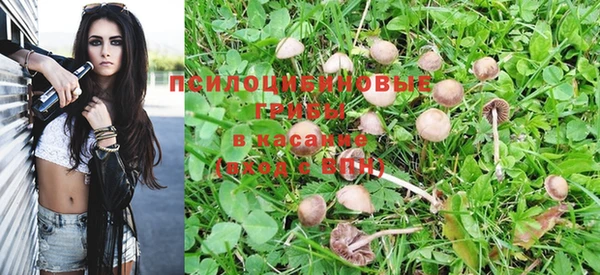 кокс Белокуриха