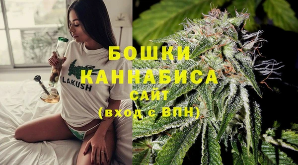 кокс Белокуриха
