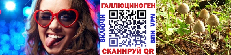 Галлюциногенные грибы Psilocybine cubensis Шиханы
